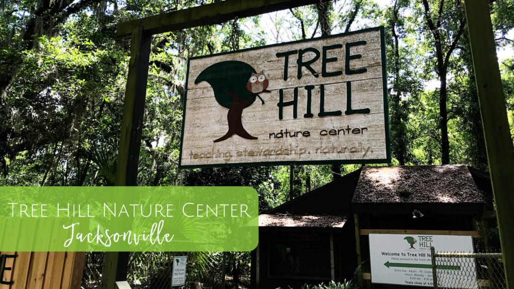 Tree Hill Nature Center - Hiking with kids in Jacksonville, Florida