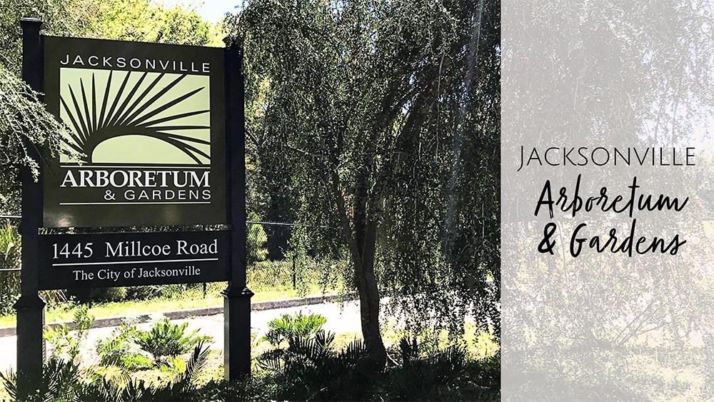 Jacksonville Arboretum & Gardens - Hiking with Kids in Jax