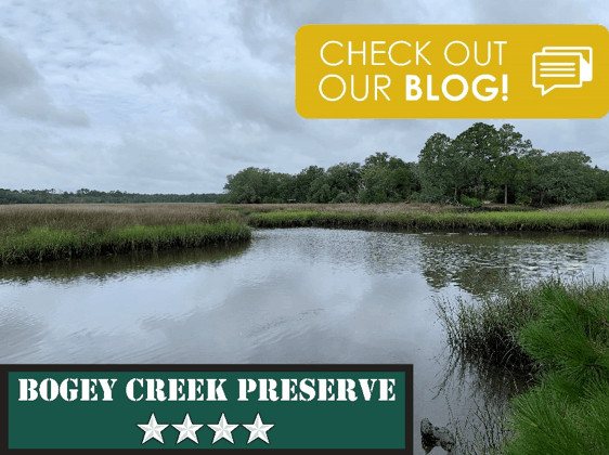 Bogey Creek Preserve Hiking in Jacksonville, Florida