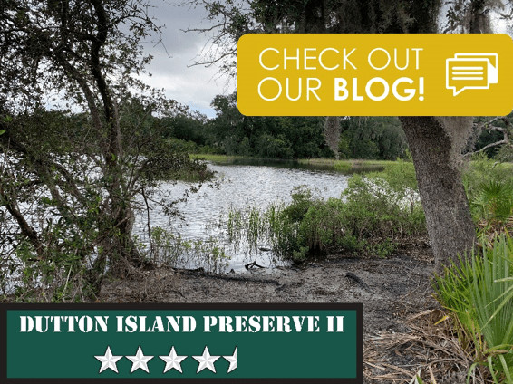 Dutton Island Preserve Hiking in Jacksonville