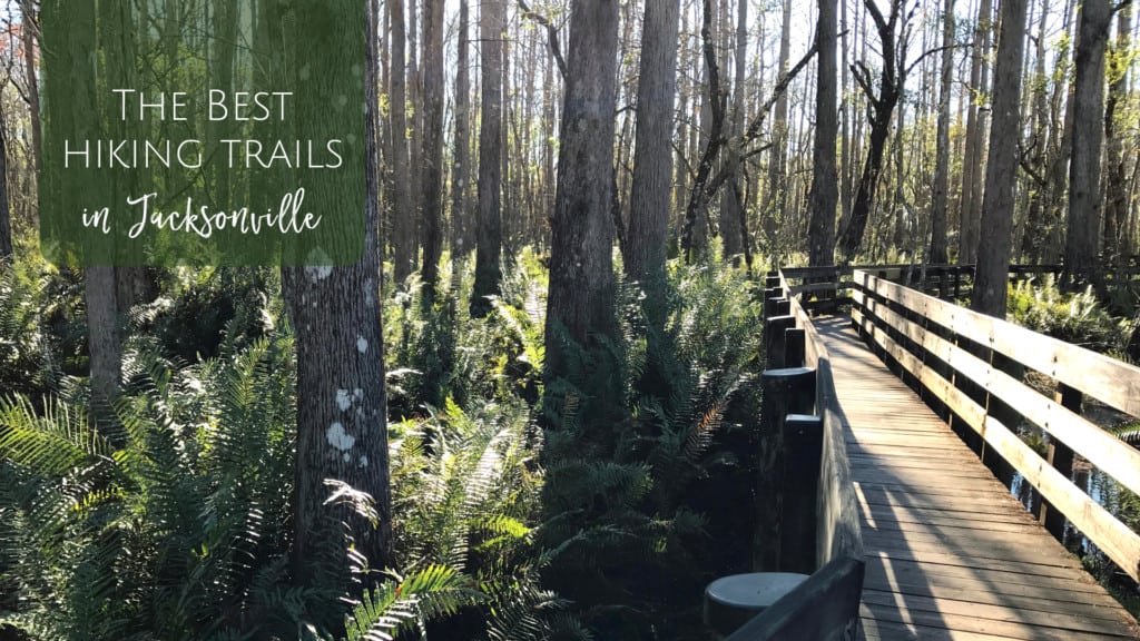 Hiking Trails in Jacksonville Florida