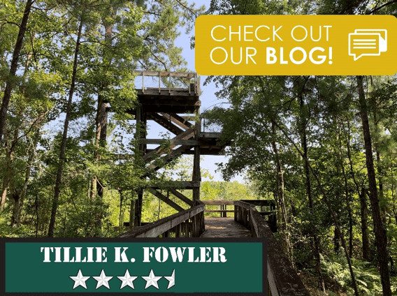 Tillie K Fowler Hiking in Jacksonville
