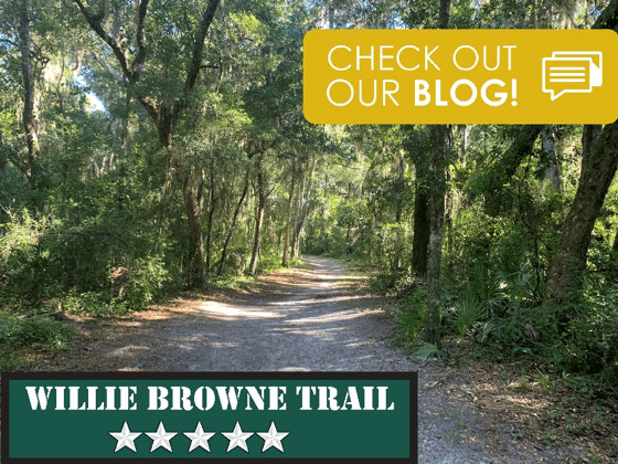 Willie Brown Trail Hiking in Jacksonville, Florida