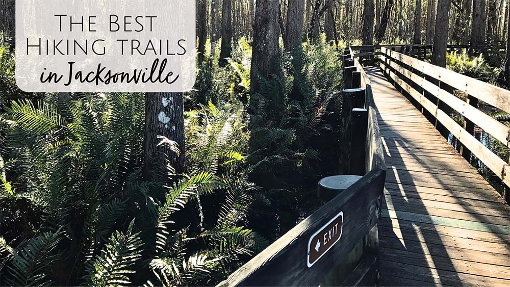 The Best Hiking Trails in Jacksonville, FL