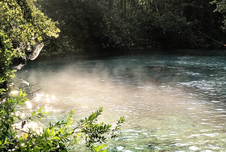 Ichetucknee Springs State Park Family Guide to Tubing Jacksonville Beach Moms