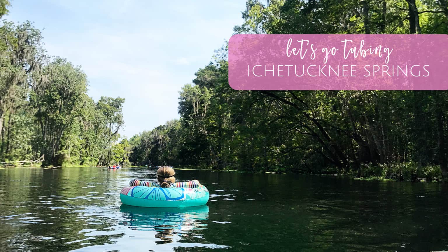 Ichetucknee Springs State Park Family Guide to Tubing Jacksonville