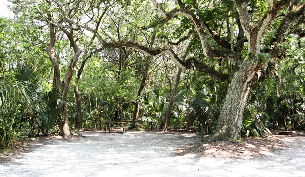 Picnicking in St. Augustine