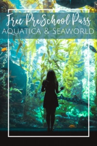 Free SeaWorld & Aquatica Preschool Pass for 2026 - Jacksonville Beach Moms