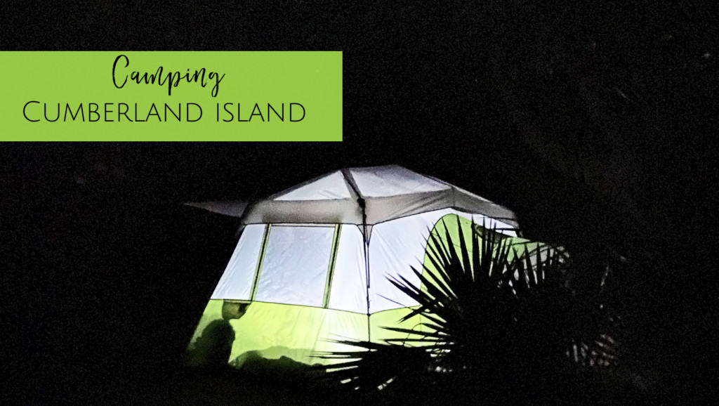 Camping at Cumberland Island National Seashore. Sea Camp Campground is perfect for primitive camping with kids of all ages!