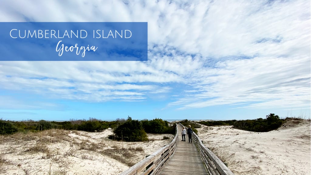 Cumberland Island National Seashore in Georgia is the perfect day trip with the kids!