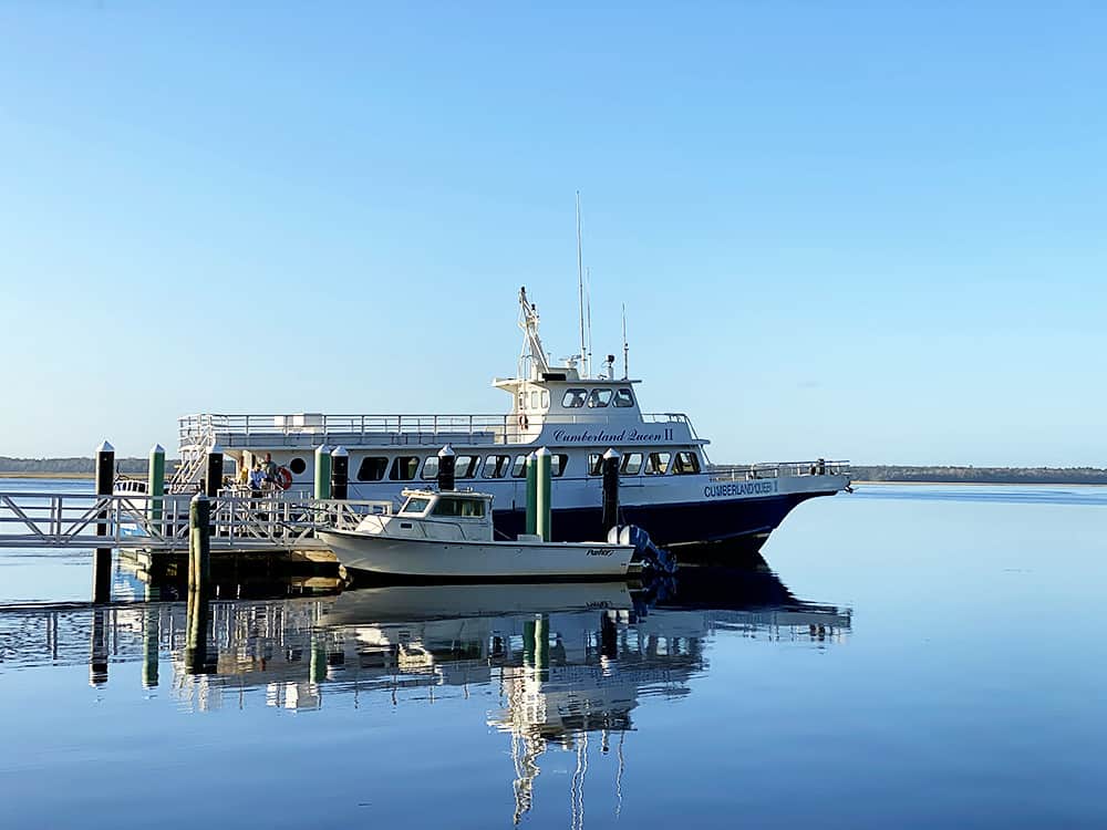 Cumberland Island National Seashore in Georgia is the perfect day trip with the kids!