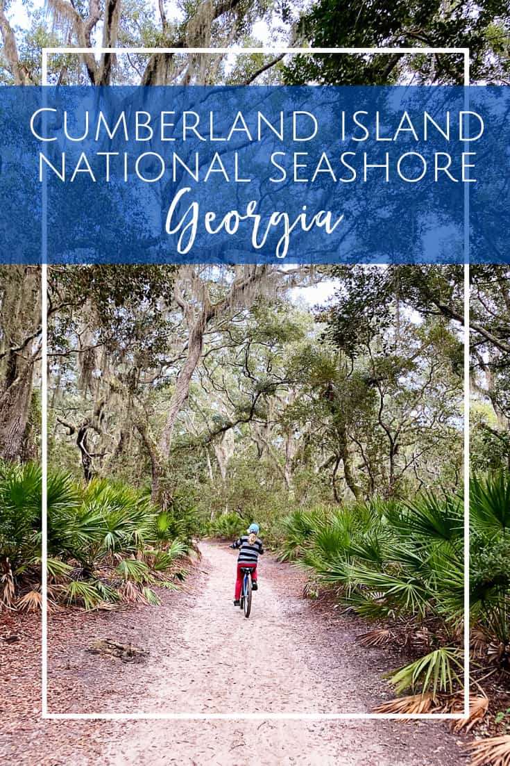 Cumberland Island National Seashore in Georgia is the perfect day trip with the kids!