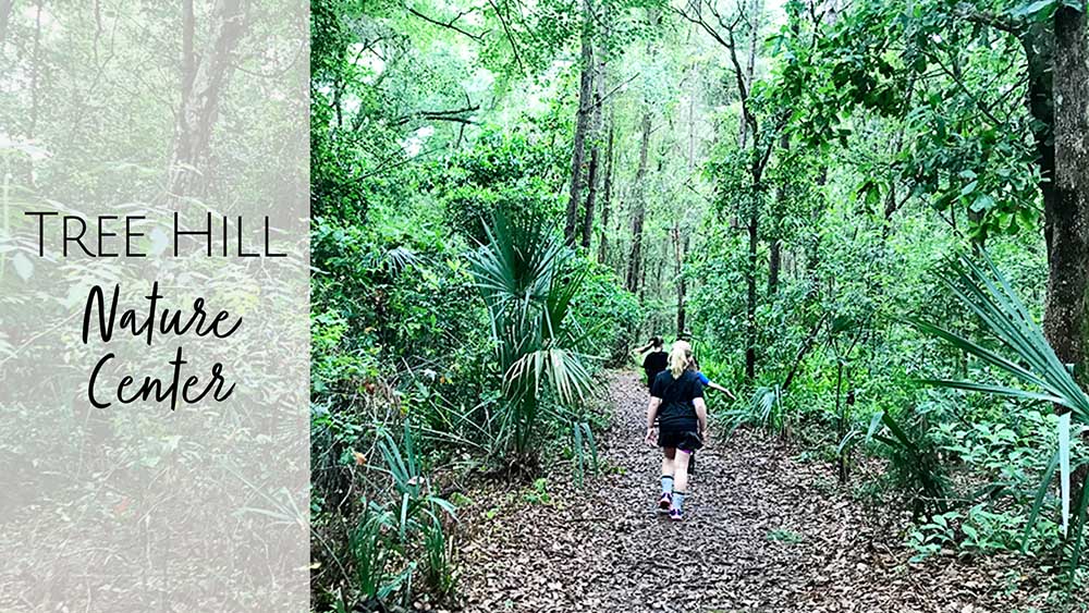 Tree Hill Nature Center in Jacksonville, FL