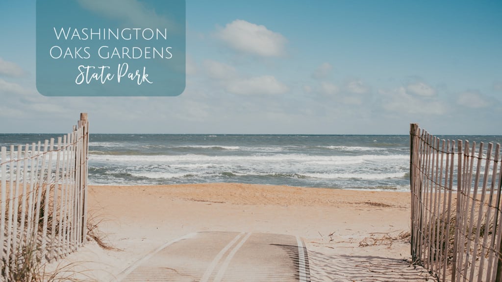 Washington Oaks State Park in Florida - perfect for exploring with kids!