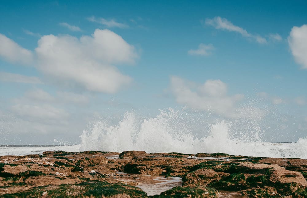 Rocky Beach in North Florida