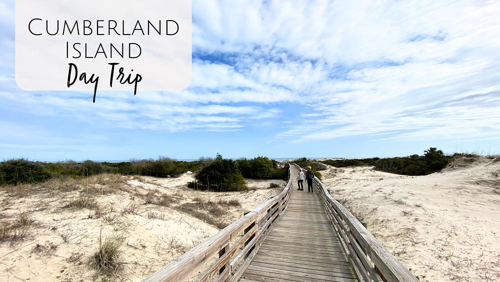 Cumberland Island National Seashore in Georgia is the perfect day trip with the kids!