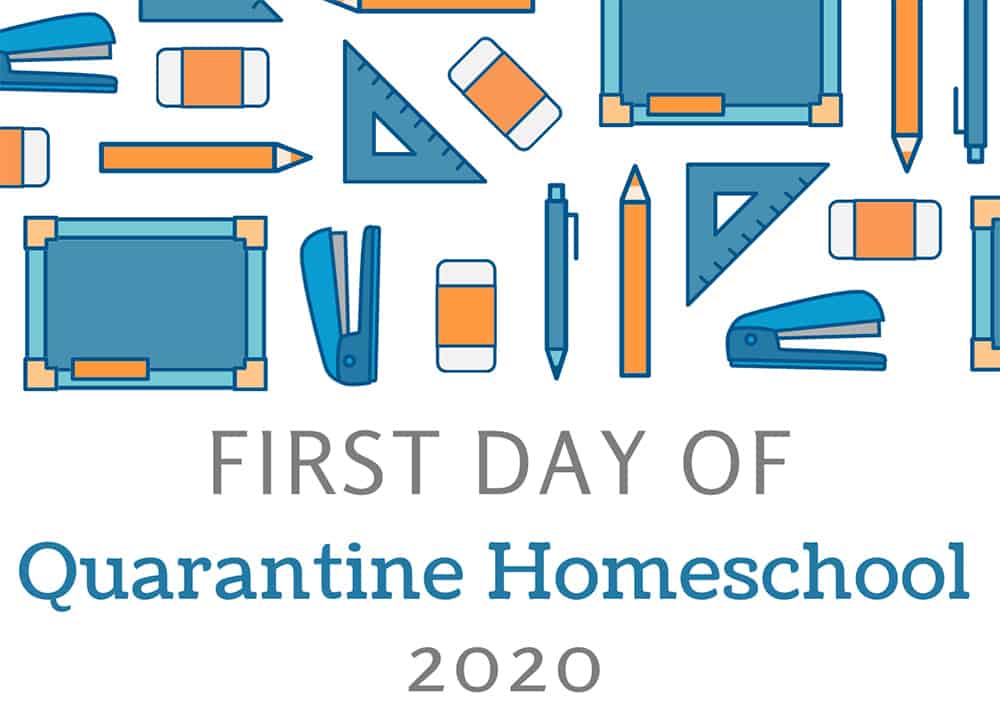 Quarantine Homeschool 2020