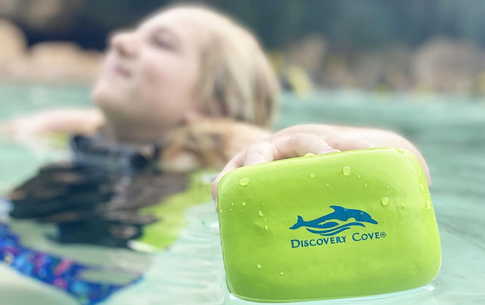 Discovery Cove in Orlando is a great day trip from Jacksonville. You can snorkel and swim with dolphins!