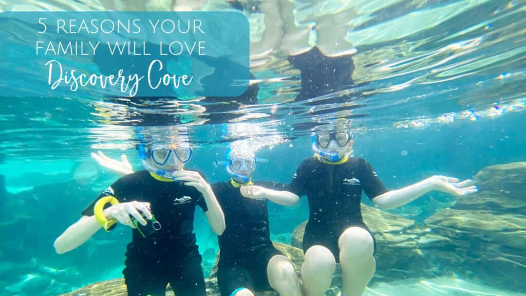 Discovery Cove in Orlando, Florida. The perfect family vacation where you can swim with dolphins.