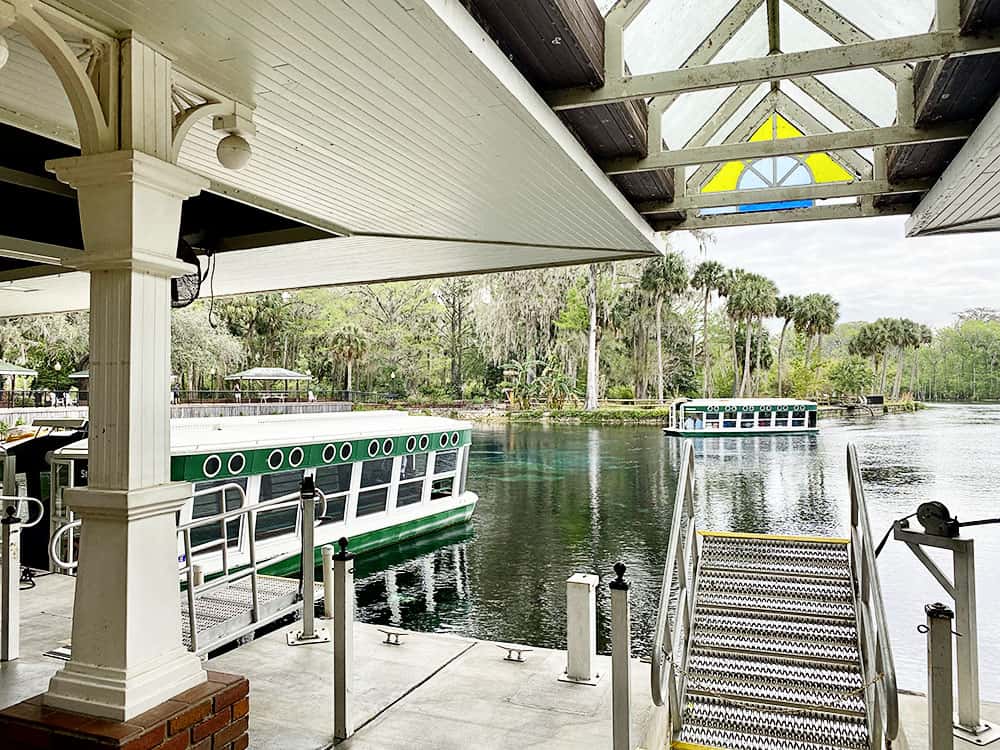 Silver Springs State Park in Ocala, Florida. A perfect spot to take a glass bottom boat ride through the springs.