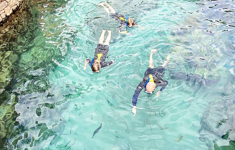 Discovery Cove in Orlando is a great day trip from Jacksonville. You can snorkel and swim with dolphins!