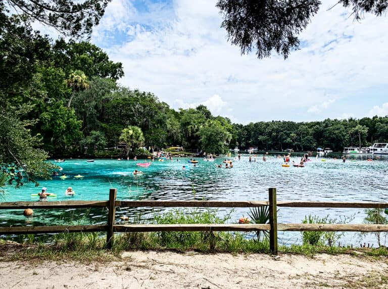 Silver Glen Springs 5 Reasons Your Family Should Visit Jacksonville