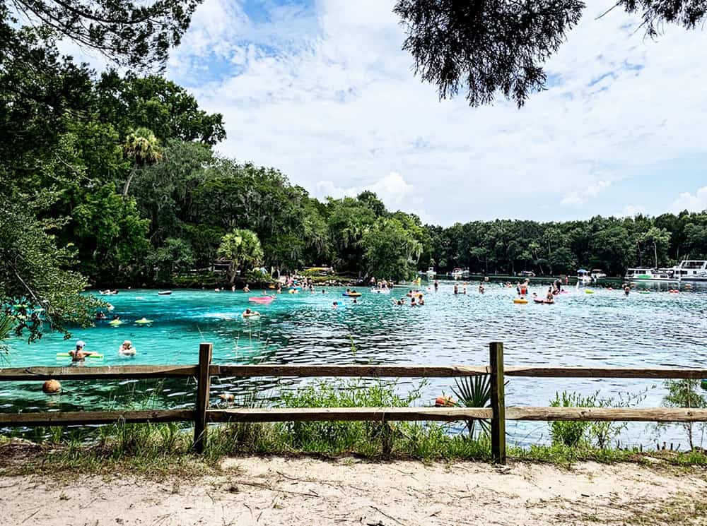 Silver Glen Springs in Ocala, Florida. They have swimming, snorkeling, and kayaking in crystal clear water.