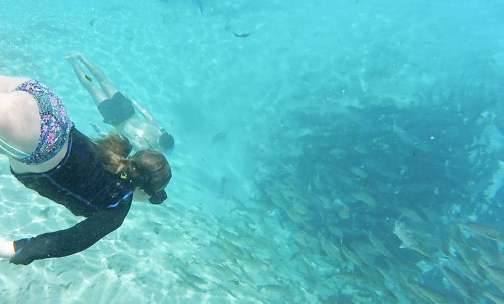 Silver Glen Springs in Ocala, Florida. They have swimming, snorkeling, and kayaking in crystal clear water.