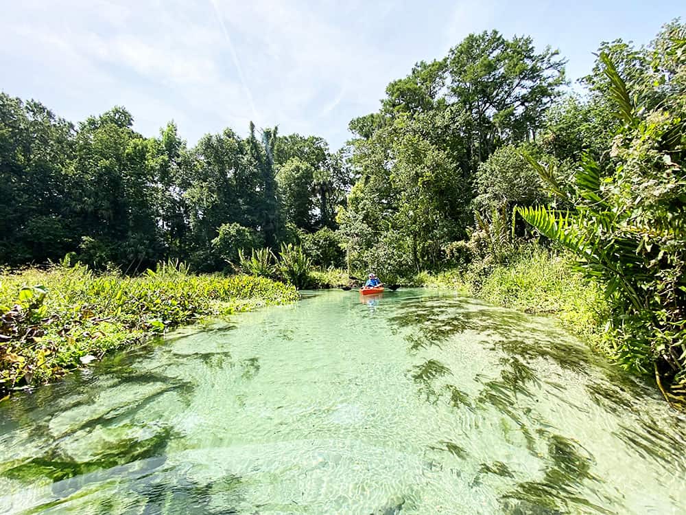 Kayak or Paddle Board at Rock Springs/Kelly Park in Apopka, Florida.