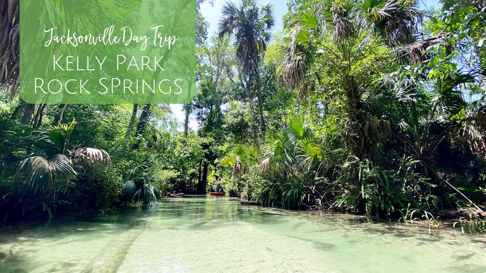 Kayaking Rock Springs Kelly Park Jacksonville Beach Moms