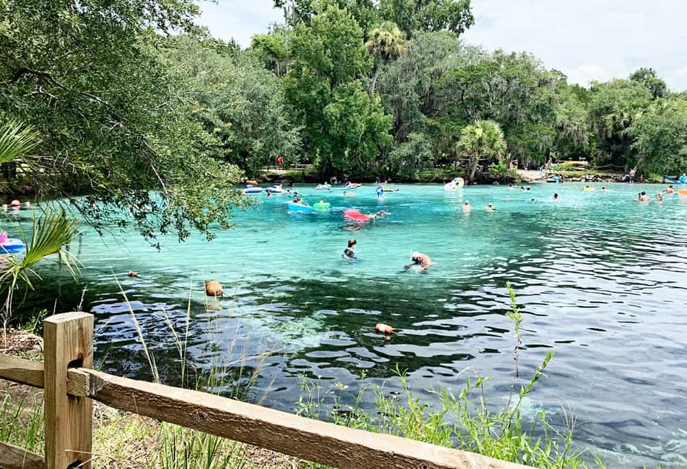 The Ultimate Guide to Florida Springs - where to swim, kayak, play and see manatees!