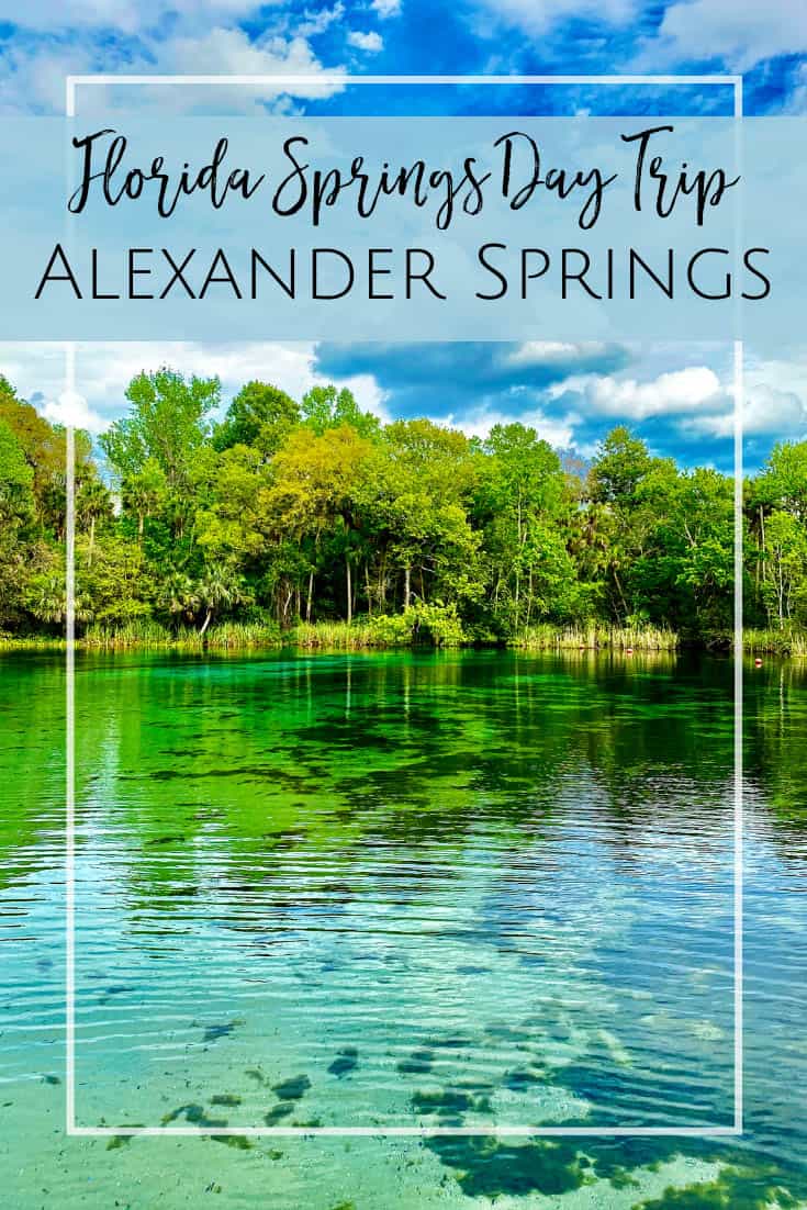 Alexander Springs Florida is the perfect place to swim in the clear, cool, spring water.