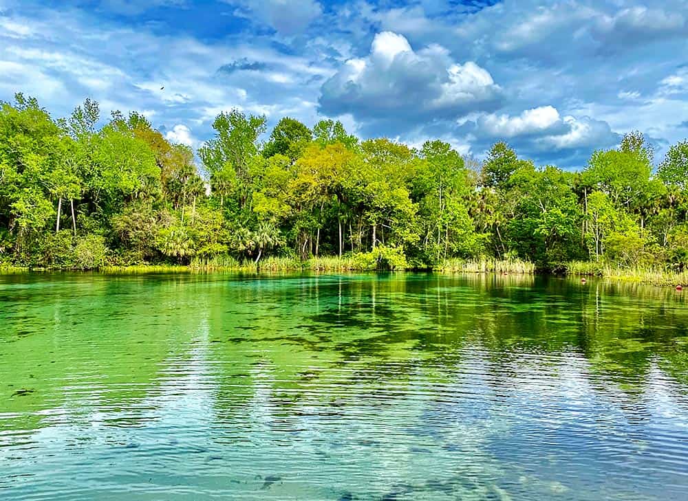 Alexander Springs Florida is the perfect place to swim in the clear, cool, spring water.