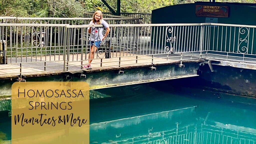 Homosassa Springs State Park & Wildlife in Florida