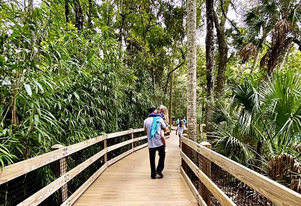 Homosassa Springs State Park - take a hike!