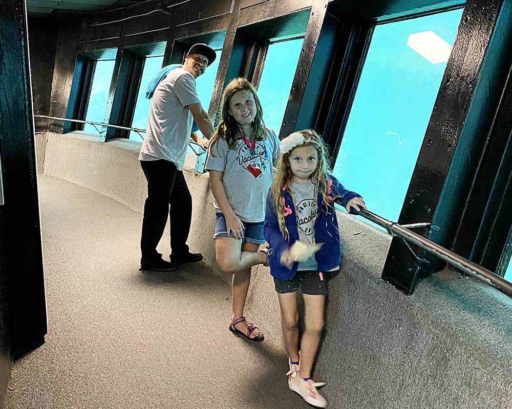 Homosassa Springs State Park - enjoy the underwater observation center.