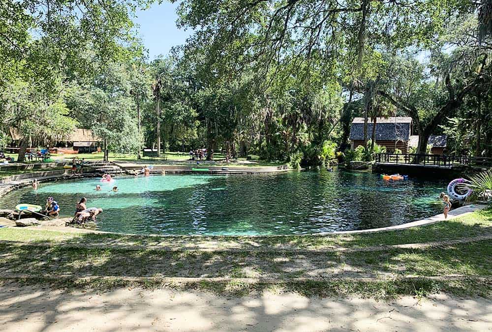 Swimming in Florida Springs