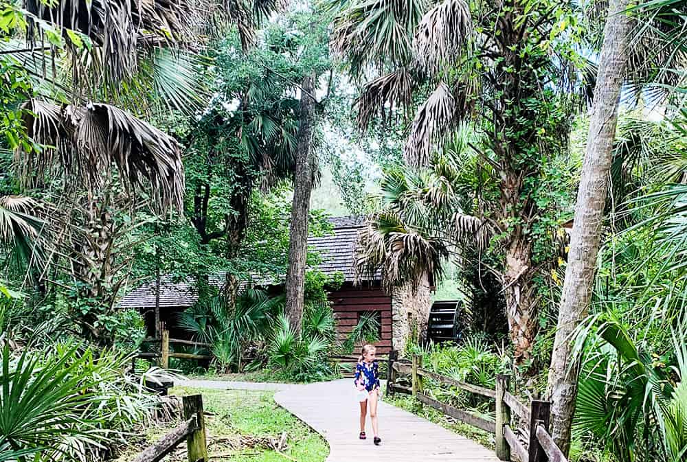 Hiking through Florida