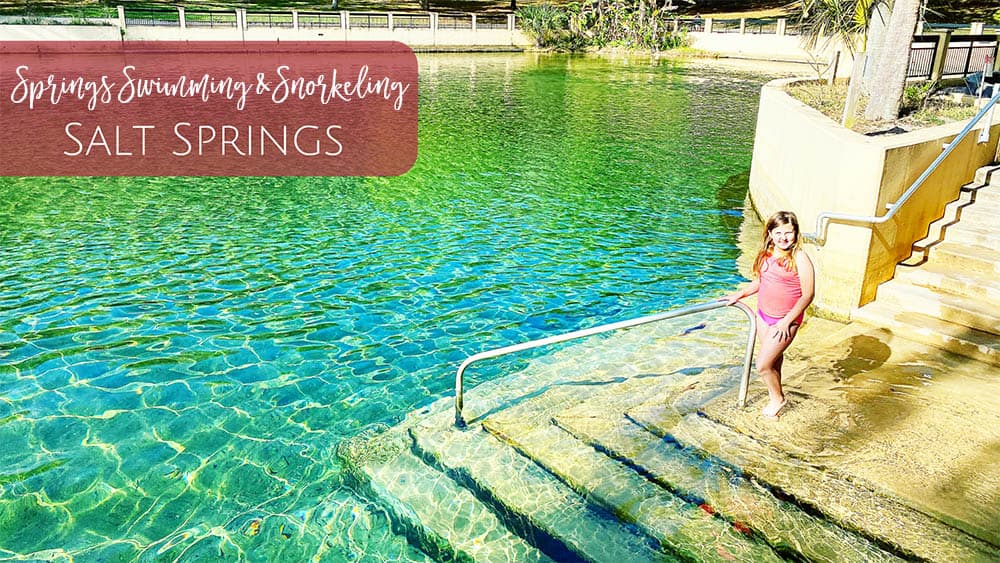 Salt Springs in Ocala National Forest, Florida