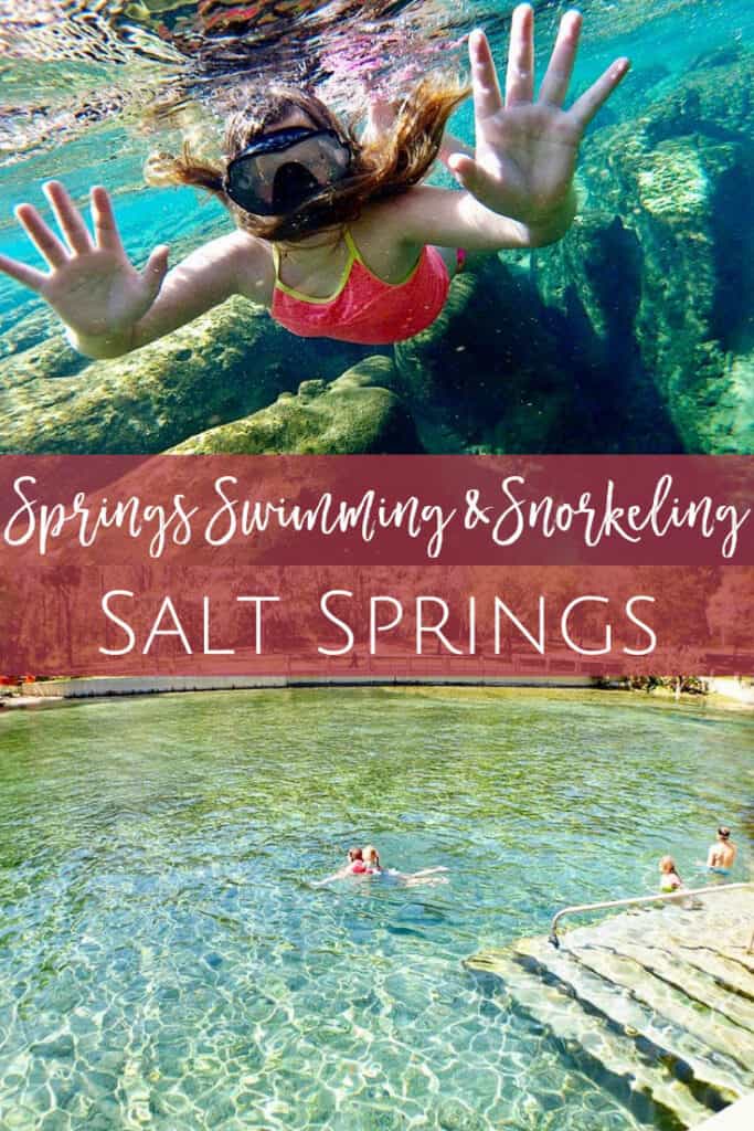 Salt Springs Swimming & Snorkeling Jacksonville Beach Moms