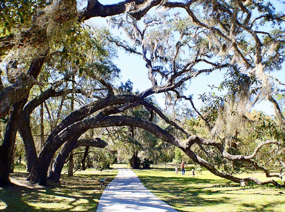 Salt Springs in Ocala, Florida