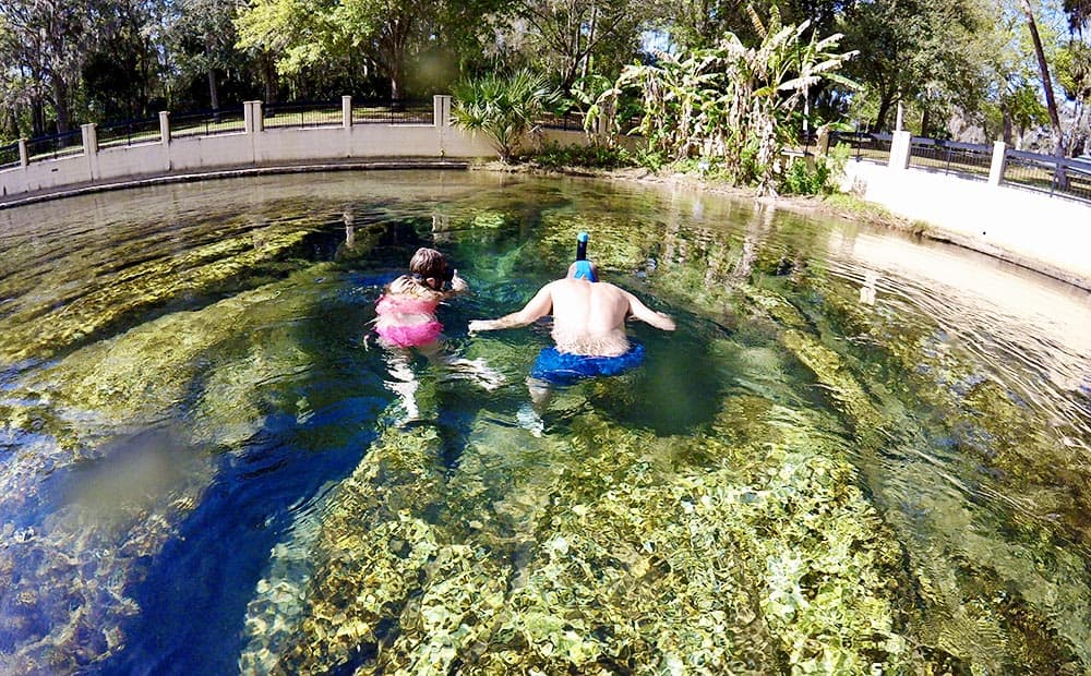 Snorkel Salt Springs in Ocala, Florida