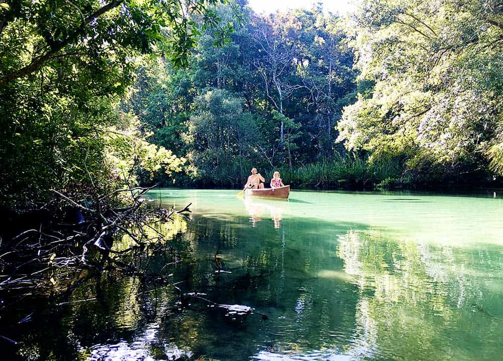 Weeki Wachee River Kayaking