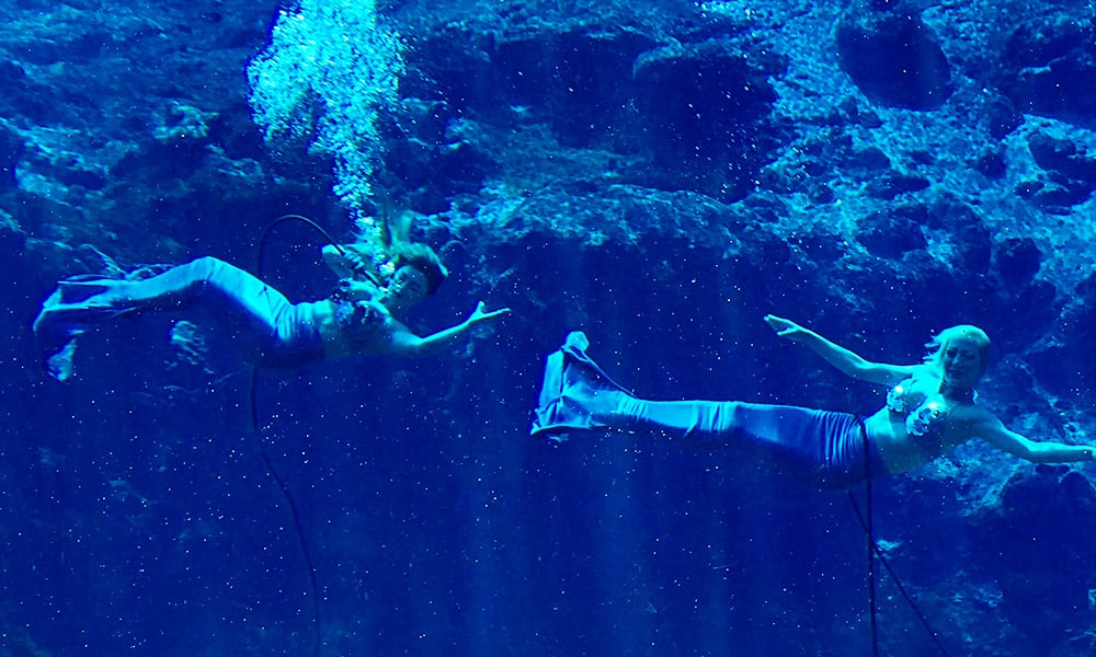 Weeki Wachee Springs Mermaids