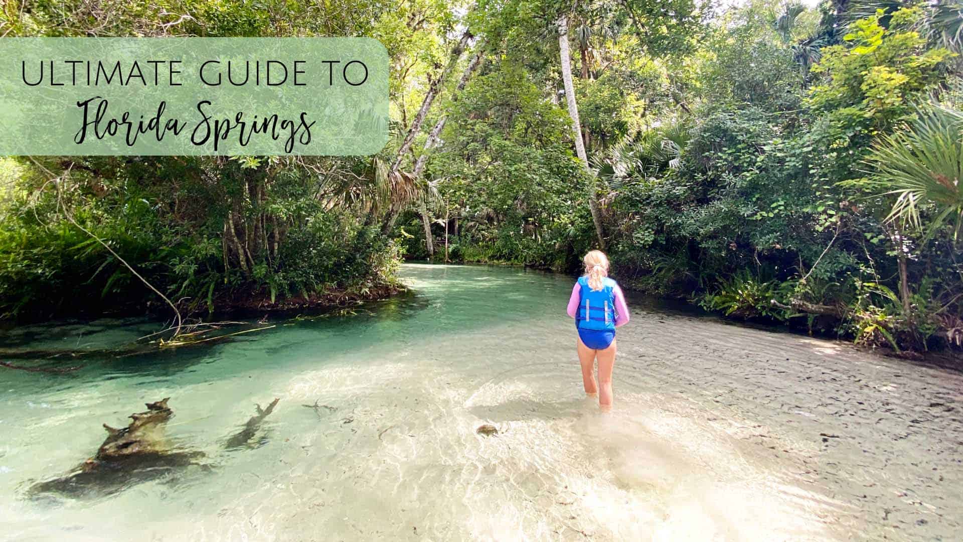 Florida Springs Day Trips From