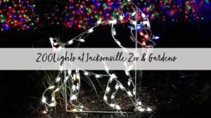 2023 Jacksonville ZOOLights Lantern Experience - Jacksonville Beach Moms