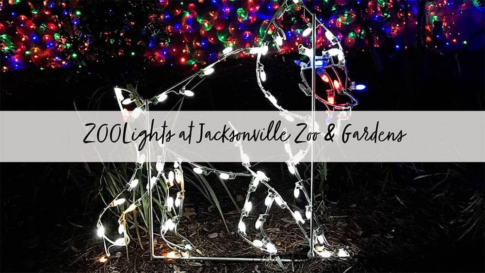 ZOOLights at Jacksonville Zoo and Gardens