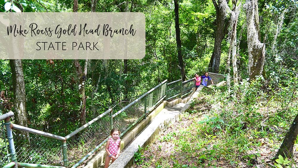 Mike Roess Gold Head Branch State Park with Kids