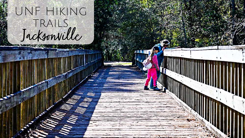 Hiking UNF Trails in Jacksonville with Kids