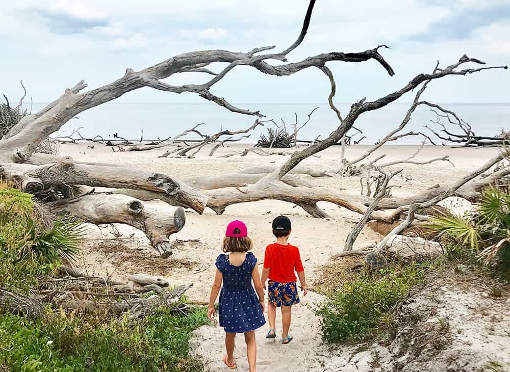 Boneyard Beach in Jacksonville